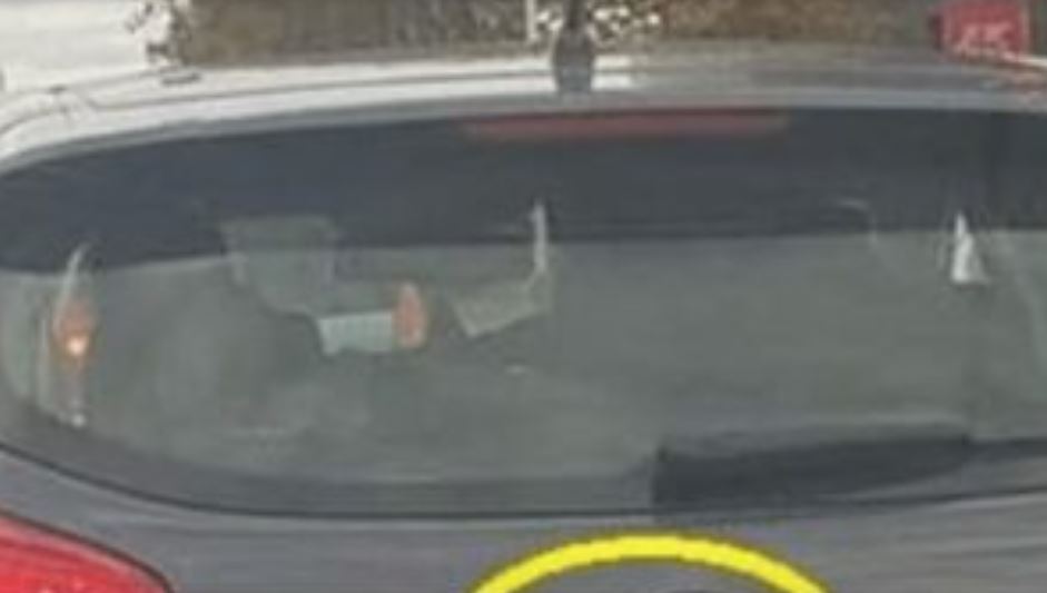 D0DA0 JE 2 slova uz marku svog auta i nasmejao ceo Balkan do suza… (foto) - featured image