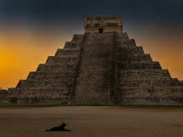 Maya-Horoskop für Februar 2026: Zwei Sternzeichen erhalten die Chance ihres Lebens Maya-Horoskop für Februar 2026: Zwei Sternzeichen erhalten die Chance ihres Lebens - featured image