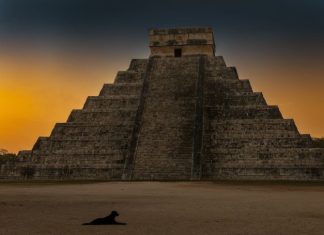 Maya-Horoskop für Februar 2026: Zwei Sternzeichen erhalten die Chance ihres Lebens Maya-Horoskop für Februar 2026: Zwei Sternzeichen erhalten die Chance ihres Lebens - featured image