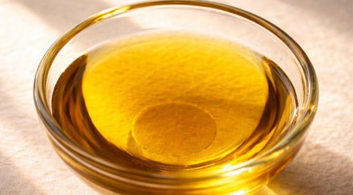 Ein Wunder der Mutter Natur: Das Öl der giftigsten Pflanze der Welt ist erstaunlich kraftvoll und heilend. Ein Wunder der Mutter Natur: Das Öl der giftigsten Pflanze der Welt ist erstaunlich kraftvoll und heilend. - featured image