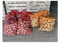 Deda ga je uvijek bacao u kesu sa krompirom i izdržali su do sledeće berbe: Ni jedan nije proklijao! Deda ga je uvijek bacao u kesu sa krompirom i izdržali su do sledeće berbe: Ni jedan nije proklijao! - featured image