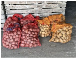 Deda ga je uvijek bacao u kesu sa krompirom i izdržali su do sledeće berbe: Ni jedan nije proklijao! Deda ga je uvijek bacao u kesu sa krompirom i izdržali su do sledeće berbe: Ni jedan nije proklijao! - featured image