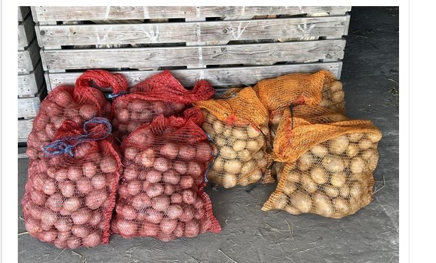 Deda ga je uvijek bacao u kesu sa krompirom i izdržali su do sledeće berbe: Ni jedan nije proklijao! Deda ga je uvijek bacao u kesu sa krompirom i izdržali su do sledeće berbe: Ni jedan nije proklijao! - featured image