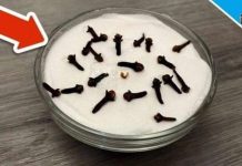 SVI ME PITAJU ZAŠTO U M0JOJ KUĆI TAKO LIJEPO MIRIŠE: Ovo Je Trik Koji Koristim, Samo 2 Sastojka – A KUĆA MIRIŠE DANIMA SVI ME PITAJU ZAŠTO U M0JOJ KUĆI TAKO LIJEPO MIRIŠE: Ovo Je Trik Koji Koristim, Samo 2 Sastojka – A KUĆA MIRIŠE DANIMA - featured image