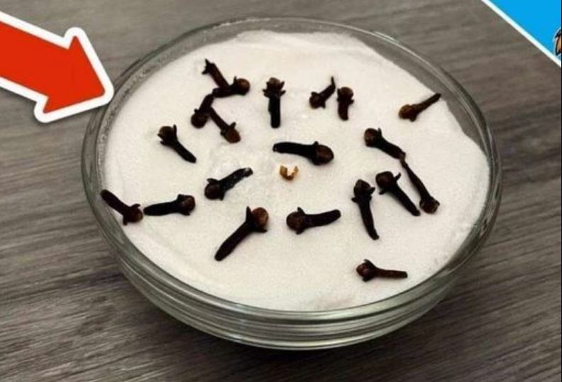 SVI ME PITAJU ZAŠTO U M0JOJ KUĆI TAKO LIJEPO MIRIŠE: Ovo Je Trik Koji Koristim, Samo 2 Sastojka – A KUĆA MIRIŠE DANIMA - featured image