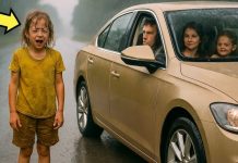 OTAC JE ODABRAO LJUBAVNICU I OSTAVIO KĆER NA CESTI… Godine kasnije sudbina je naplatila svoj dug OTAC JE ODABRAO LJUBAVNICU I OSTAVIO KĆER NA CESTI… Godine kasnije sudbina je naplatila svoj dug - featured image