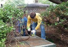 Nakon 10 godina, u svom dvorištu su napokon otvorili ova jeziva metalna vrata… Nakon 10 godina, u svom dvorištu su napokon otvorili ova jeziva metalna vrata… - featured image