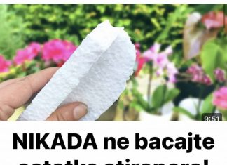 Nikada ne bacajte ostatke stiropora! Njegova vrijednost je jednaka težini zlata!