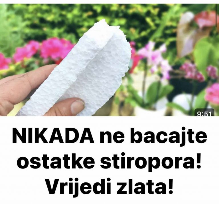 517613878_1173757954797348_1697725676529265991_n-768x718 (1)