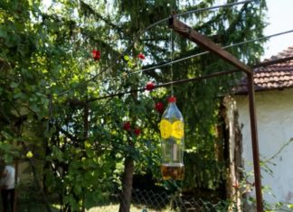 Poslije sat vremena više nećete vidjeti muhiu, ni komarca u blizini: SMUĆKAJTE IM POSLJEDNJU VEČERU Poslije sat vremena više nećete vidjeti muhiu, ni komarca u blizini: SMUĆKAJTE IM POSLJEDNJU VEČERU - featured image